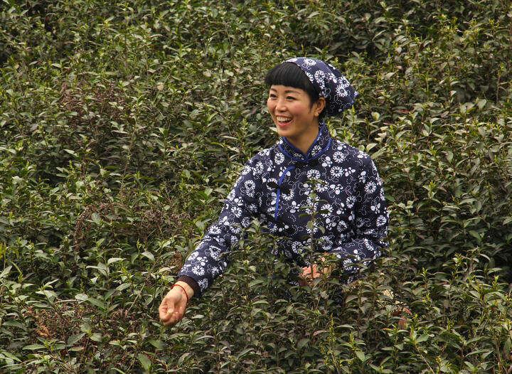 资讯1